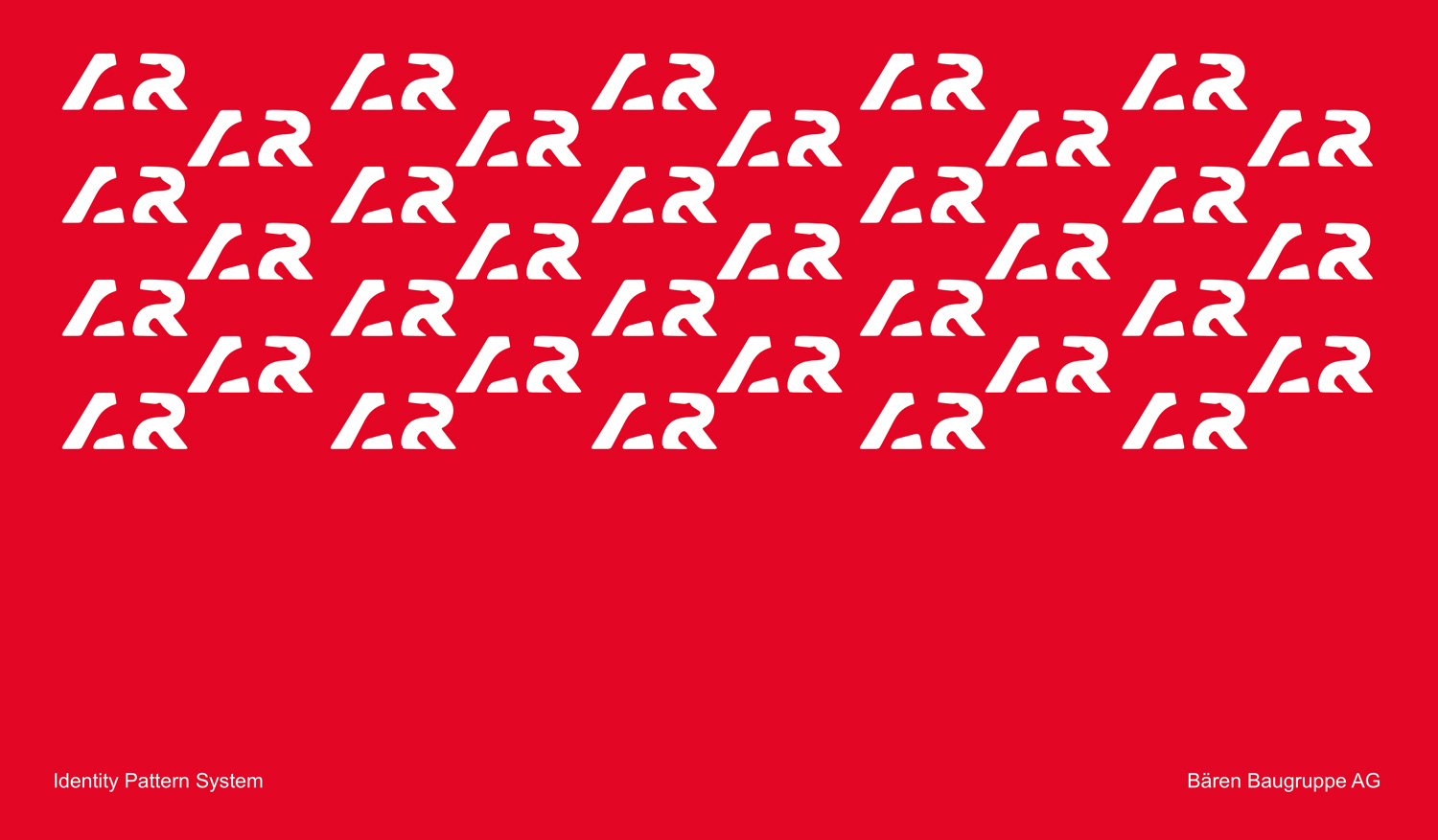 Bären Gruppe AG Presentation 5